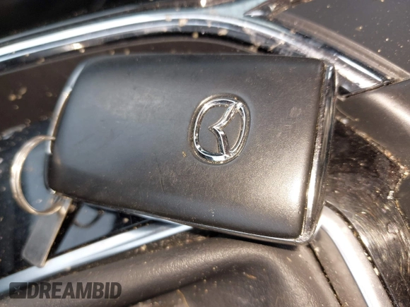 2022 Mazda CX-9 Touring z VIN JM3TCBCY7N0600370, wystawiony jako IAAI lot #42658049 z przebiegiem 113 000 mil mil oraz . Historia ofert i sprzedaży dostępna na DreamBid. Obrazek 11.