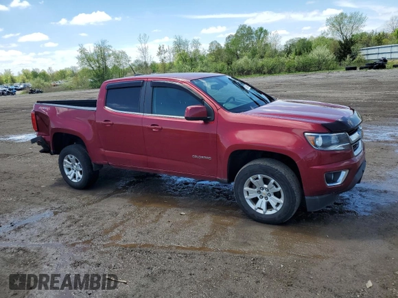 2019 Chevrolet Colorado 4WD LT with VIN 1GCGTCEN9K1316389, listed as a Copart auction lot 56095715 with 96,237 mi miles and Salvage title. Bid and sale history available at DreamBid. Image 4.