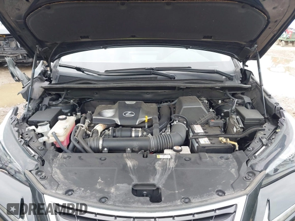 2021 Lexus NX 300 z VIN JTJDARDZ9M2248170, wystawiony jako IAAI lot #42523061 z przebiegiem 53 430 mil mil oraz . Historia ofert i sprzedaży dostępna na DreamBid. Obrazek 10.