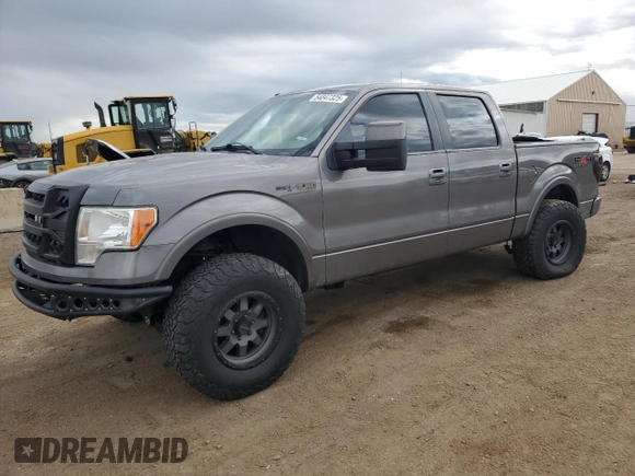 2010 Ford F-150 XL with VIN 1FTFW1EV6AFA03440, listed as a Copart auction lot 54847325 with 176,807 mi miles and Salvage Title. Bid and sale history available at DreamBid. Image 1.