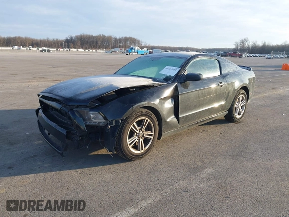 2014 Ford Mustang V6 z VIN 1ZVBP8AM4E5262440, wystawiony jako IAAI lot #41523652 z przebiegiem 140 573 mil mil oraz . Historia ofert i sprzedaży dostępna na DreamBid. Obrazek 18.