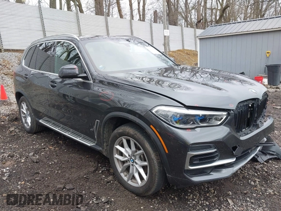 2023 BMW X5 xDrive40i with VIN 5UXCR6C07P9N61205, listed as a IAAI auction lot 42010313 with 34,127 mi miles. Bid and sale history available at carsss.com. Image 1.