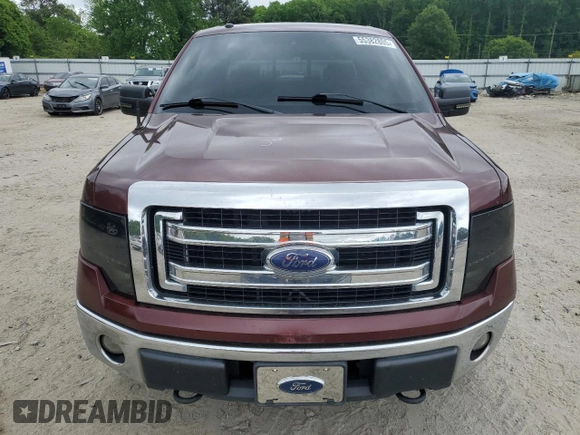 2009 Ford F-150 XL with VIN 1FTPW14V49FA35949, listed as a Copart auction lot 55382805 with 160,445 mi miles and Salvage title. Bid and sale history available at DreamBid. Image 5.
