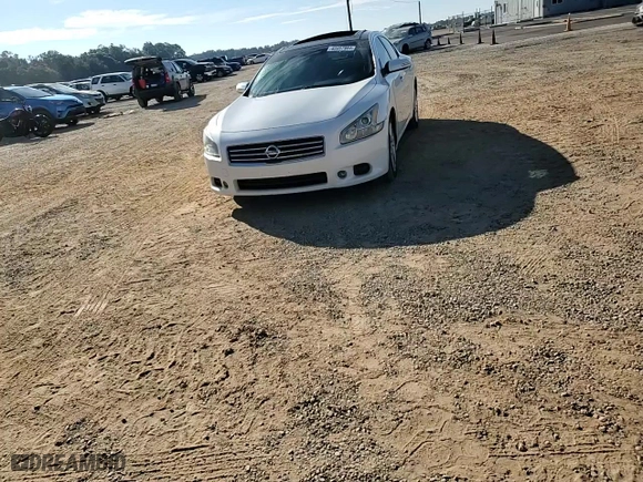 2010 Nissan Maxima 3.5 SV w/Premium Pkg with VIN 1N4AA5AP5AC845541, listed as a Copart auction lot 82057984 with 80,146 mi miles and Salvage Title. Bid and sale history available at carsss.com. Image 11.