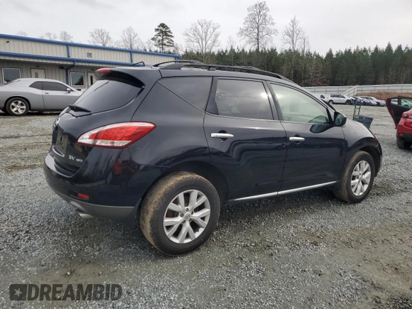 2013 Nissan Murano SV with VIN JN8AZ1MW0DW311207, listed as a Copart auction lot 44683965 with 115,766 mi miles and Salvage Title. Bid and sale history available at carsss.com. Image 3.