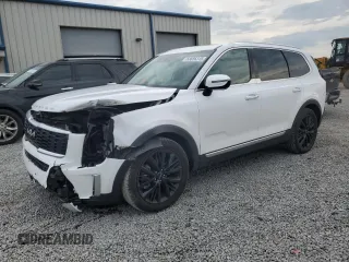 2022 Kia Telluride SX with VIN 5XYP5DHC6NG222534, listed as a Copart auction lot 58656315 with 76,952 mi miles and Salvage title. Bid and sale history available at DreamBid. Image 1.