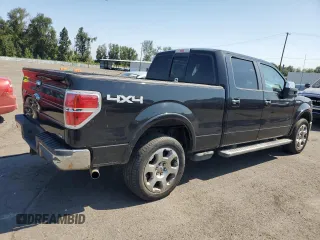 2010 Ford F-150 XL with VIN 1FTFW1EV9AFA31023, listed as a Copart auction lot 65806495 with 192,985 mi miles and Clean title. Bid and sale history available at DreamBid. Image 3.