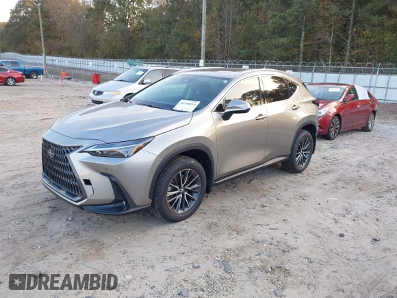 2023 Lexus NX with VIN 2T2GGCEZ1PC019526, listed as a IAAI auction lot 40700034 with 13,258 mi miles. Bid and sale history available at carsss.com. Image 18.