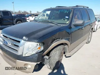 2011 Ford Expedition XLT with VIN 1FMJU1H55BEF25877, listed as a IAAI auction lot 41403624 with 198,558 mi miles and . Bid and sale history available at DreamBid. Image 23.