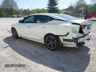 2017 Nissan Maxima S with VIN 1N4AA6AP8HC417480, listed as a IAAI auction lot 41995301 with 183,173 mi miles and . Bid and sale history available at DreamBid. Image 3.