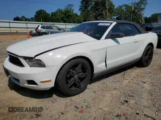 2010 Ford Mustang V6 with VIN 1ZVBP8EN9A5168390, listed as a Copart auction lot 59209875 with 214,471 mi miles and Salvage title. Bid and sale history available at DreamBid. Image 1.