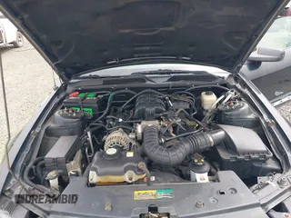 2007 Ford Mustang Deluxe with VIN 1ZVFT80N675258576, listed as a IAAI auction lot 42283829 with 56,334 mi miles and . Bid and sale history available at DreamBid. Image 10.