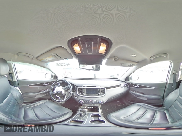 2017 Kia Sorento EX with VIN 5XYPHDA58HG249452, listed as a Copart auction lot 48402245 with Not Provided miles and Salvage Title. Bid and sale history available at DreamBid. Image 14.