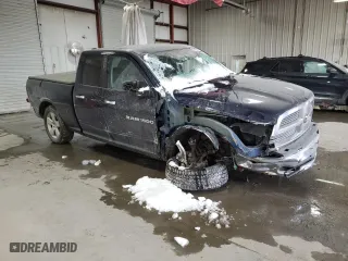 2012 Ram 1500 Outdoorsman with VIN 1C6RD7GT9CS270168, listed as a Copart auction lot 87195204 with 0 mi miles and Salvage Title. Bid and sale history available at carsss.com. Image 4.