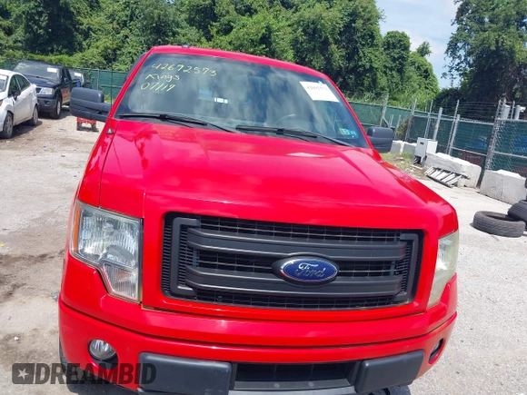 2014 Ford F-150 XL with VIN 1FTEX1EM4EFC24475, listed as a IAAI auction lot 42692573 with 166,214 mi miles and . Bid and sale history available at DreamBid. Image 12.