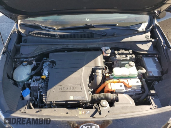2019 Kia Niro LX with VIN KNDCB3LC0K5341113, listed as a Copart auction lot 79472554 with 44,313 mi miles and Salvage Title. Bid and sale history available at carsss.com. Image 12.