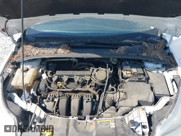 2014 Ford Focus SE with VIN 1FADP3K29EL180300, listed as a IAAI auction lot 42035362 with 1 mi miles. Bid and sale history available at carsss.com. Image 10.