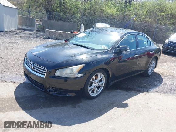 2012 Nissan Maxima SV with VIN 1N4AA5AP1CC834930, listed as a IAAI auction lot 41932919 with Not provided miles and . Bid and sale history available at DreamBid. Image 2.