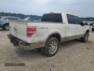 2009 Ford F-150 XL z VIN 1FTPW14V19KB33070, wystawiony jako Copart lot #55521345 z przebiegiem Nie podano mil oraz Szkoda całkowita • Salvage title. Historia ofert i sprzedaży dostępna na DreamBid. Obrazek 3.