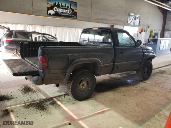 1999 Dodge Ram 1500 with VIN 1B7HF16Y4XS146923, listed as a Copart auction lot 48548615 with 247,260 mi miles and Salvage Title. Bid and sale history available at carsss.com. Image 3.