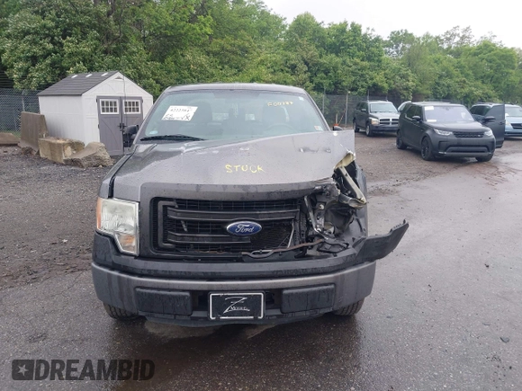 2013 Ford F-150 XL with VIN 1FTEX1CM0DKF00787, listed as a IAAI auction lot 42223847 with 129,202 mi miles and . Bid and sale history available at DreamBid. Image 12.