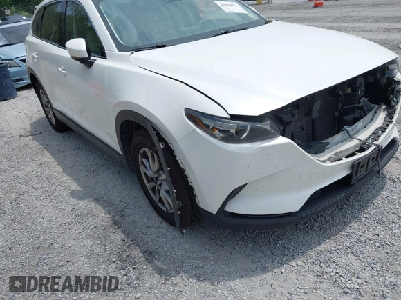 2016 Mazda CX-9 Touring с VIN JM3TCBCY1G0116889, выставлен на аукционе IAAI как лот 42394821 с пробегом 210 861 миль миль и . История ставок и продаж доступна на DreamBid. Изображение 18.
