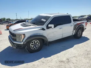 2023 Ford F-150 Raptor with VIN 1FTFW1RG1PFB24123, listed as a Copart auction lot 49594495 with 24,175 mi miles and Salvage Title. Bid and sale history available at DreamBid. Image 1.