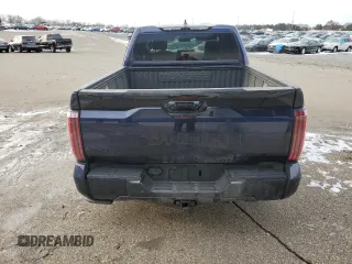 2022 Toyota Tundra Platinum with VIN 5TFNA5DB3NX010399, listed as a Copart auction lot 88658185 with 28,045 mi miles and Salvage title. Bid and sale history available at DreamBid. Image 6.