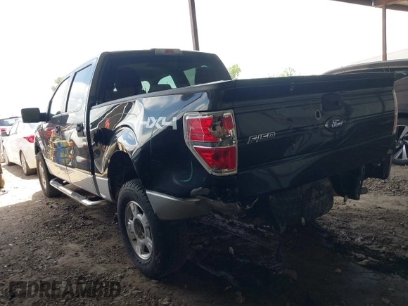 2010 Ford F-150 XL with VIN 1FTEW1E82AFD87433, listed as a IAAI auction lot 42595343 with 159,229 mi miles and . Bid and sale history available at DreamBid. Image 3.