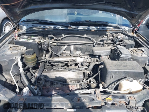 1998 Toyota RAV4 with VIN JT3GP10V7W7037711, listed as a IAAI auction lot 42081313 with 233,554 mi miles and . Bid and sale history available at DreamBid. Image 10.