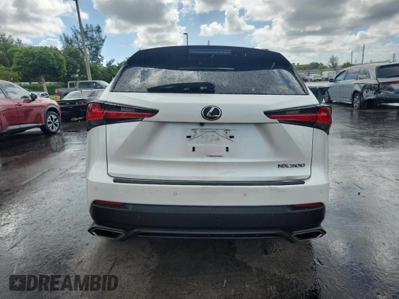 2020 Lexus NX 300 with VIN JTJDARBZ5L5000367, listed as a Copart auction lot 61573165 with 55,401 mi miles and Non repairable. Bid and sale history available at DreamBid. Image 6.