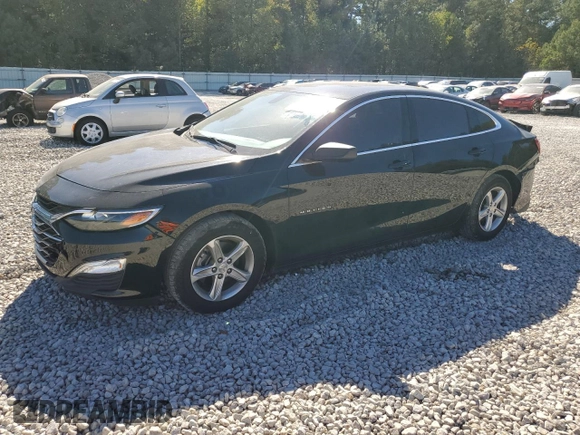 2019 Chevrolet Malibu LS with VIN 1G1ZB5ST6KF185346, listed as a Copart auction lot 77244674 with 65,133 mi miles and Salvage Title. Bid and sale history available at DreamBid. Image 1.