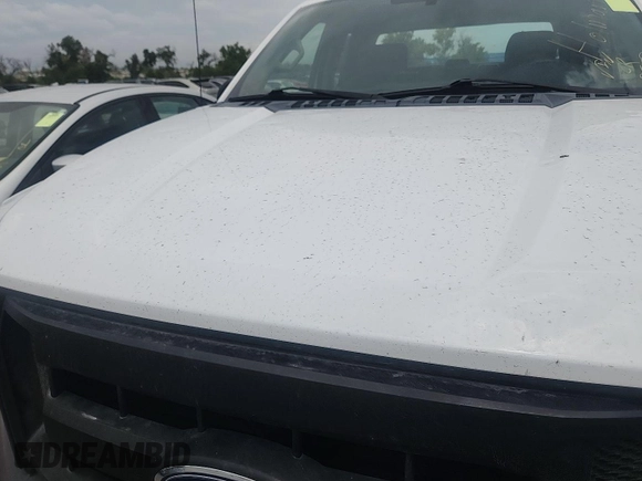 2017 Ford F-150 XL with VIN 1FTEX1E82HKD27618, listed as a IAAI auction lot 42796140 with 124,457 mi miles and . Bid and sale history available at DreamBid. Image 19.