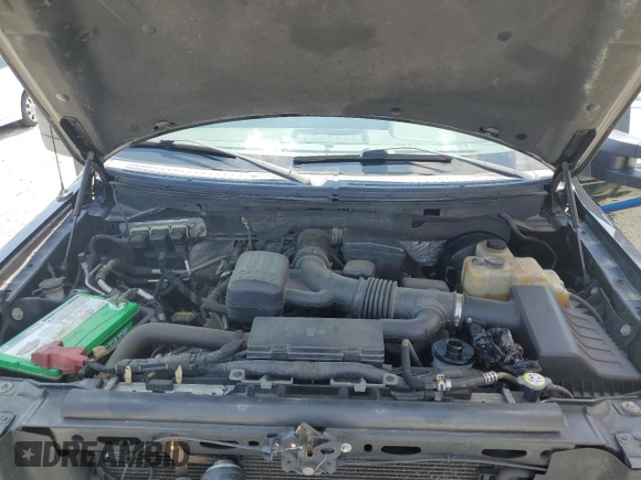 2009 Ford F-150 XL with VIN 1FTPW14V79FA60490, listed as a Copart auction lot 62701335 with 167,017 mi miles and Salvage title. Bid and sale history available at DreamBid. Image 11.
