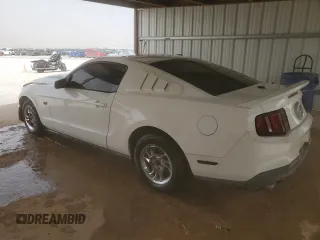 2011 Ford Mustang V6 with VIN 1ZVBP8AM2B5166530, listed as a Copart auction lot 49241085 with 140,842 mi miles and Clean Title. Bid and sale history available at carsss.com. Image 2.