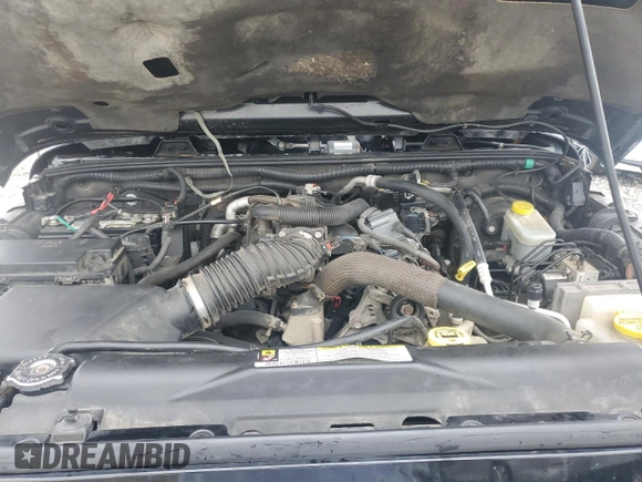 2010 Jeep Wrangler Rubicon with VIN 1J4BA6D14AL198524, listed as a Copart auction lot 65260235 with Not provided miles and Clean title. Bid and sale history available at DreamBid. Image 12.