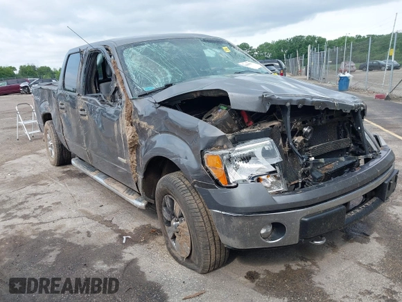 2012 Ford F-150 XL with VIN 1FTFW1ET5CFB55193, listed as a IAAI auction lot 42446598 with 132,596 mi miles and . Bid and sale history available at DreamBid. Image 1.