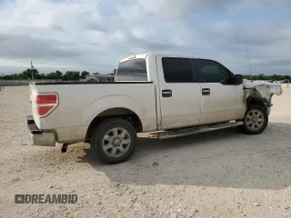2013 Ford F-150 XL with VIN 1FTFW1CF6DKF13715, listed as a Copart auction lot 55394455 with 265,607 mi miles and Clean Title. Bid and sale history available at carsss.com. Image 3.