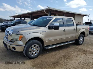 2011 Ford F-150 XLT with VIN 1FTFW1ET6BFC83831, listed as a Copart auction lot 48885905 with 239,436 mi miles and Salvage title. Bid and sale history available at DreamBid. Image 1.