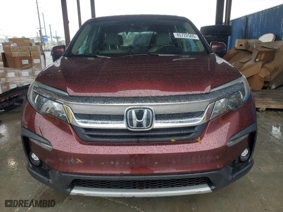 2019 Honda Pilot EX-L with VIN 5FNYF5H53KB024439, listed as a Copart auction lot 45722565 with 56,246 mi miles and Salvage Title. Bid and sale history available at carsss.com. Image 5.