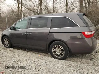 2013 Honda Odyssey EX-L with VIN 5FNRL5H68DB044162, listed as a Copart auction lot 49541385 with 262,550 mi miles and Clean Title. Bid and sale history available at carsss.com. Image 2.