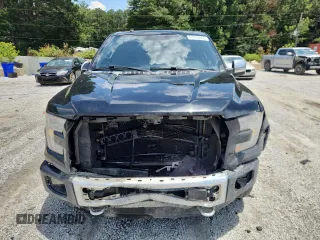 2016 Ford F-150 XLT with VIN 1FTEW1EF9GFB49621, listed as a Copart auction lot 61810865 with 258,610 mi miles and Salvage title. Bid and sale history available at DreamBid. Image 5.