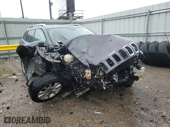 2014 Jeep Cherokee Limited with VIN 1C4PJMDS0EW241043, listed as a Copart auction lot 59284805 with Not provided miles and Salvage title. Bid and sale history available at DreamBid. Image 14.