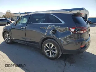 2019 Kia Sorento EX with VIN 5XYPHDA5XKG464435, listed as a Copart auction lot 48409705 with 119,107 mi miles and Salvage Title. Bid and sale history available at DreamBid. Image 2.