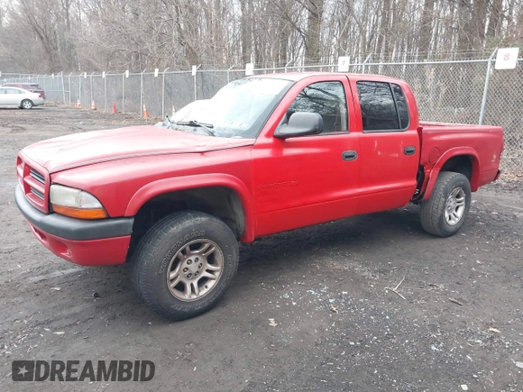 2002 Dodge Dakota Sport with VIN 1B7HG38N52S510495, listed as a IAAI auction lot 41694757 with 254,713 mi miles. Bid and sale history available at carsss.com. Image 2.