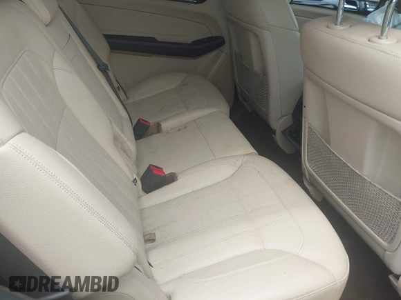 2017 Mercedes-Benz GLS 450 with VIN 4JGDF6EE3HA841867, listed as a IAAI auction lot 42562265 with Not provided miles and . Bid and sale history available at DreamBid. Image 8.