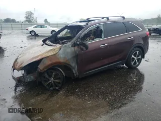 2016 Kia Sorento EX with VIN 5XYPH4A52GG123215, listed as a Copart auction lot 67654034 with 0 mi miles and Salvage Title. Bid and sale history available at carsss.com. Image 1.