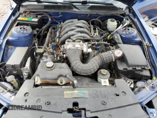 2007 Ford Mustang GT Deluxe with VIN 1ZVFT82H175214802, listed as a Copart auction lot 50828905 with 116,243 mi miles and Salvage Title. Bid and sale history available at carsss.com. Image 11.