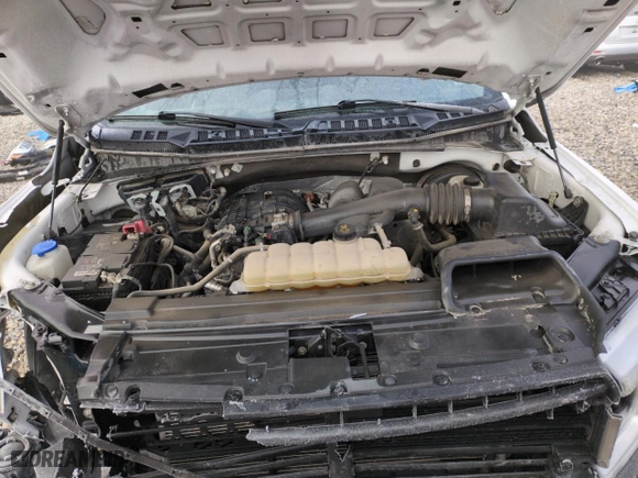 2019 Ford F-150 XL with VIN 1FTMF1CB9KKF27822, listed as a Copart auction lot 82123714 with 103,959 mi miles and Salvage Title. Bid and sale history available at carsss.com. Image 11.