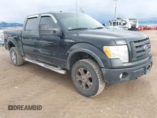 2010 Ford F-150 XL with VIN 1FTFW1EV2AKC53345, listed as a IAAI auction lot 41925086 with 218,833 mi miles. Bid and sale history available at carsss.com. Image 1.